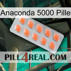 Anaconda 5000 Pill 26